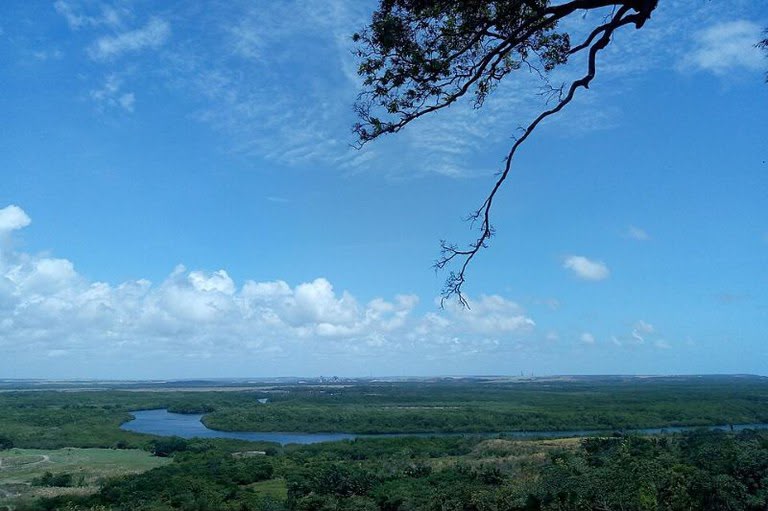 MPF denuncia três pessoas por desmatamento de 114 hectares em reserva extrativista de Aruanã - Foto: Divulgação