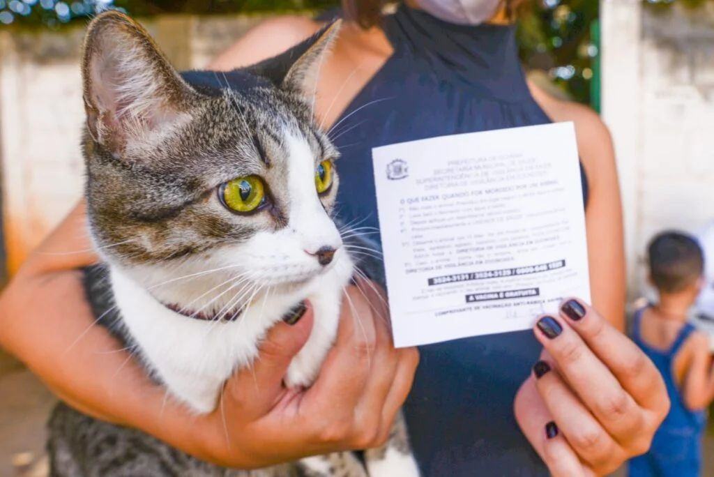 Campanha de Vacinação Antirrábica 2026 imuniza 74 mil cães e gatos contra raiva em Goiânia