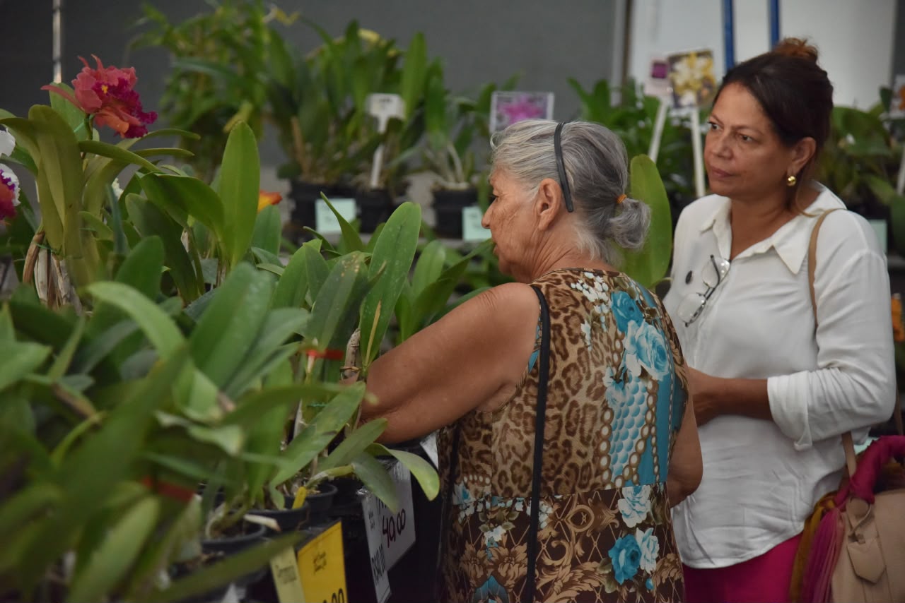 exposição de orquídeas Aparecida