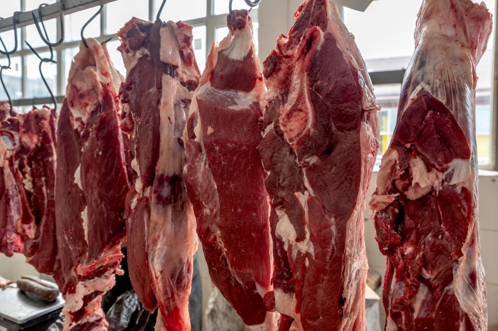 Mesmo com adequação imediata, carne goiana pode levar até 30 meses para voltar à União Europeia