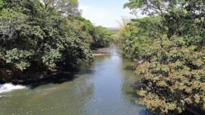 Rio Meia Ponte entra em nível crítico; entenda se há risco de racionamento
