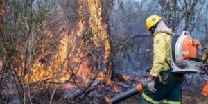 CBMGO combate incêndios em vegetação em Nova Roma e São Domingos
