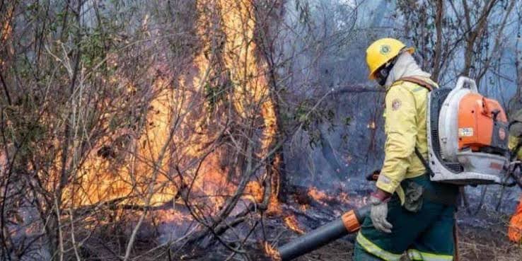 CBMGO combate incêndios em vegetação em Nova Roma e São Domingos