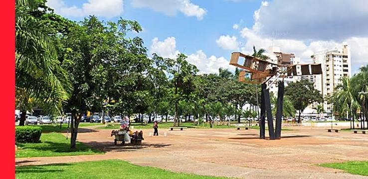 Cobra é encontrada no motor de veículo na Praça do Avião, em Goiânia, e entregue ao Cetas