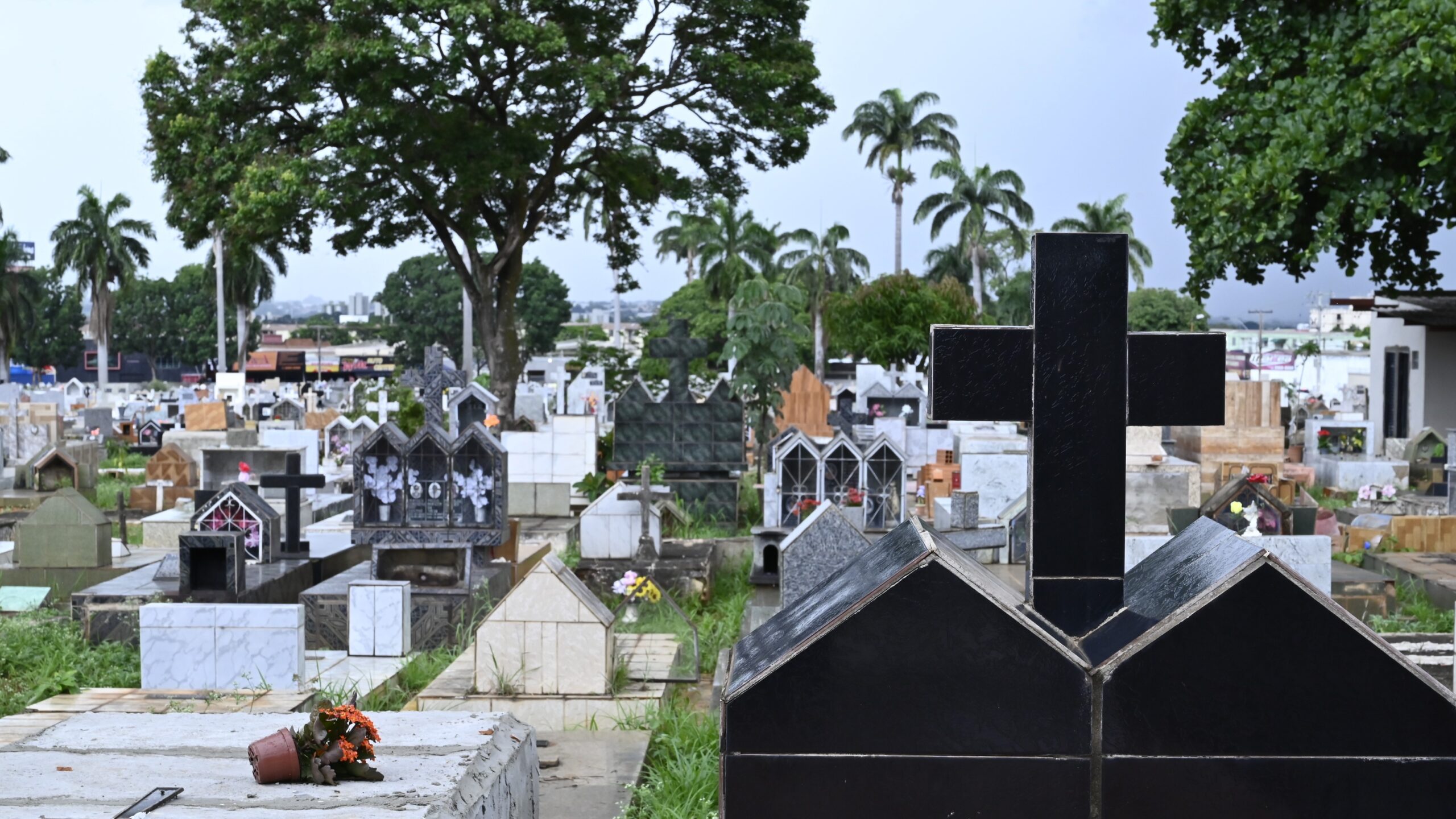 Quem não pode pagar pelo funeral terá assistência gratuita em Aparecida; veja o que inclui