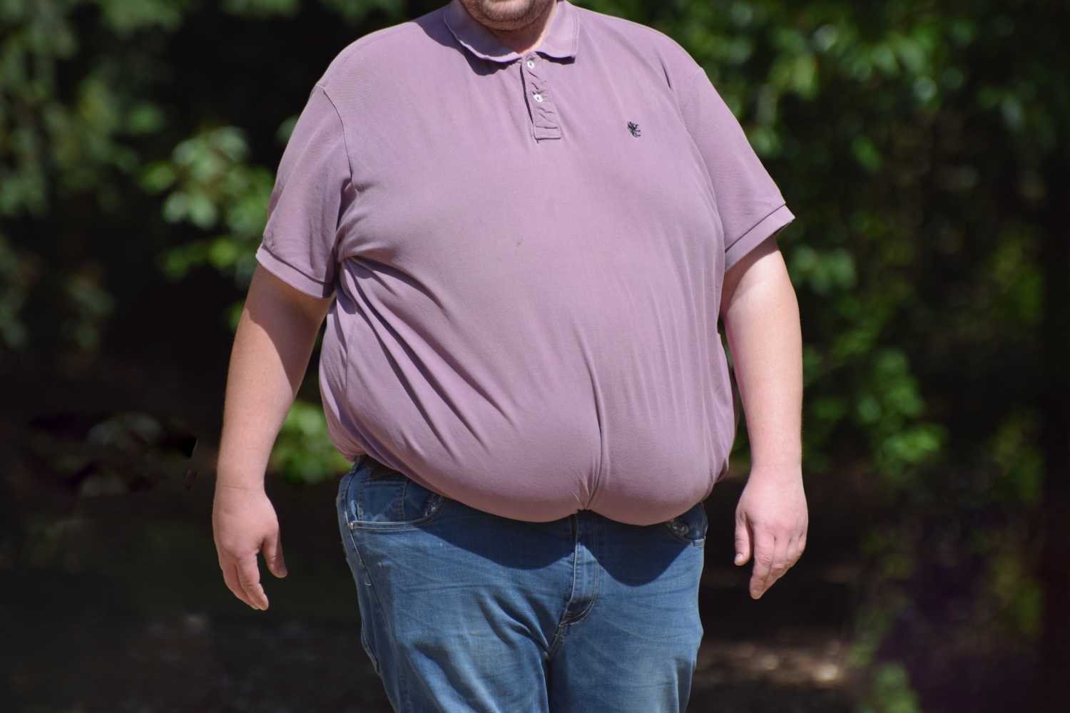 Pesquisa obesidade 1