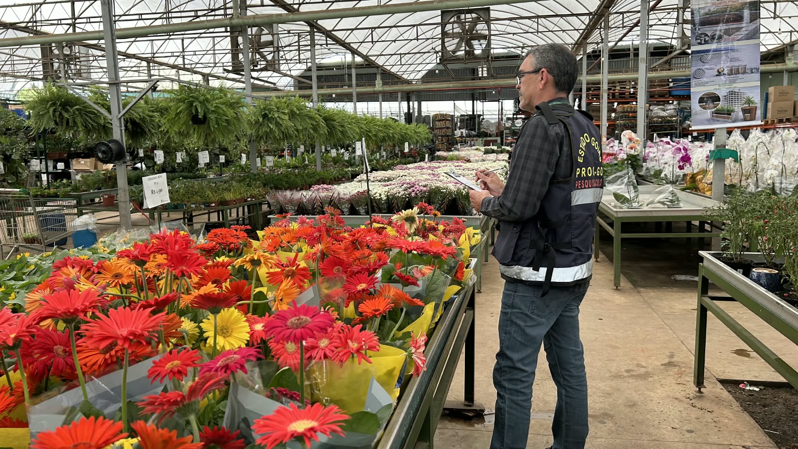 Procon Goiás encontra variação de 605% no preço das flores para Finados