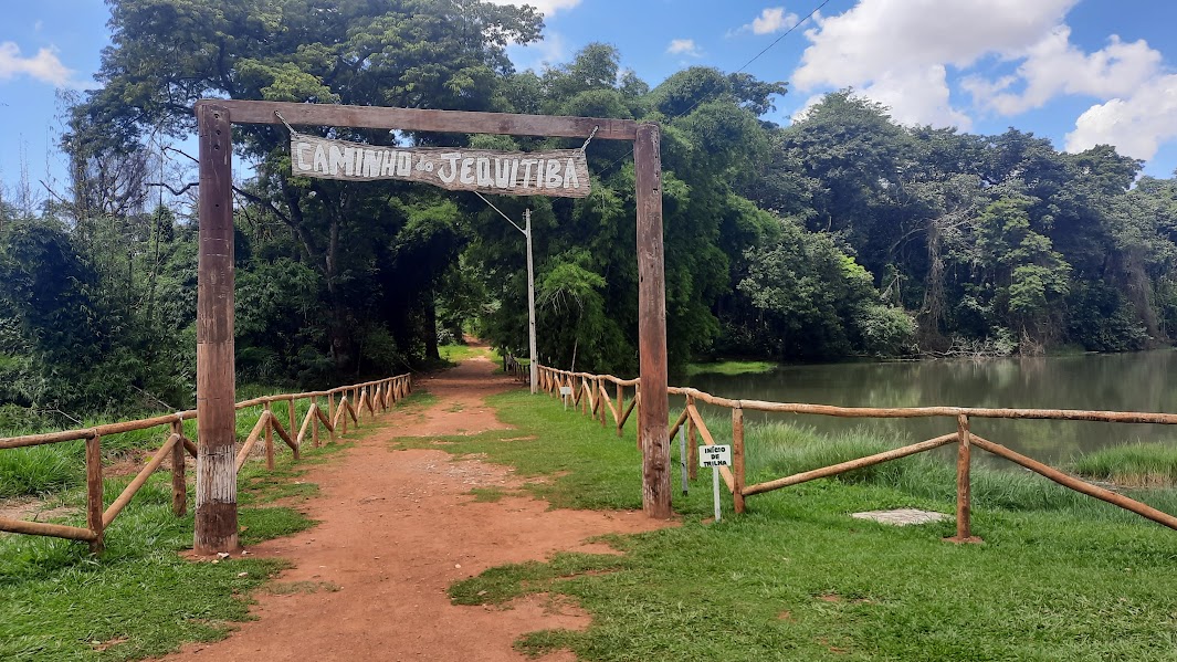 Projeto amplia acesso de crianças e adolescentes a áreas verdes em Goiás