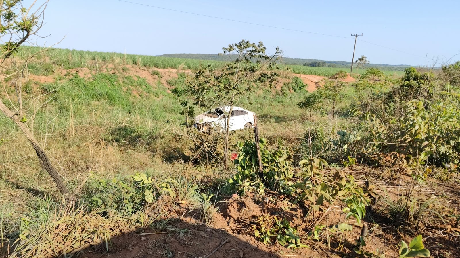 Motorista morre após carro bater em anta e capotar na GO-341, em Mineiros