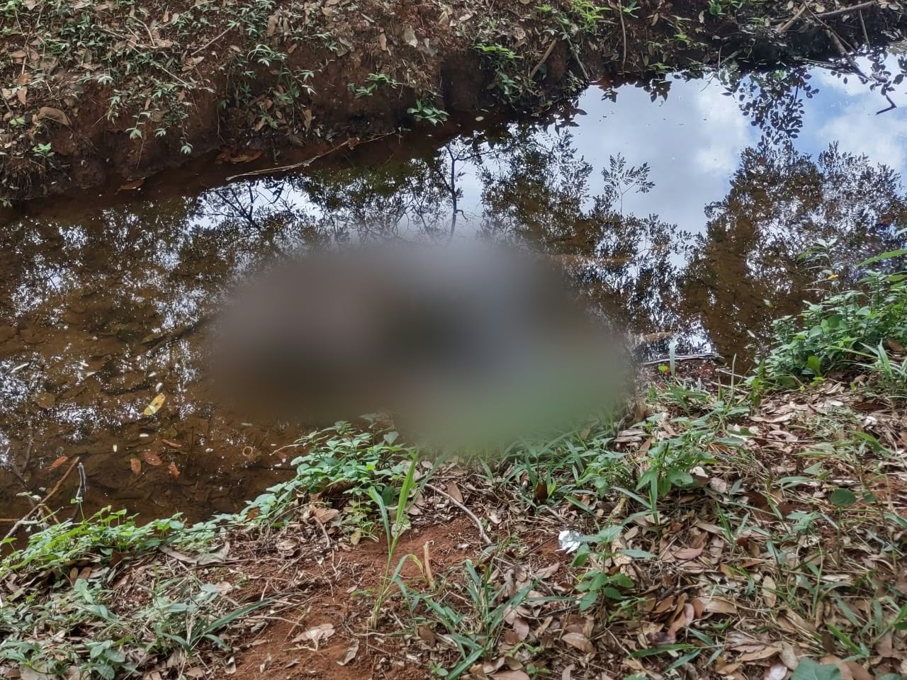 Corpo é encontrado em curso d’água às margens da Avenida Botafogo, em Goiânia