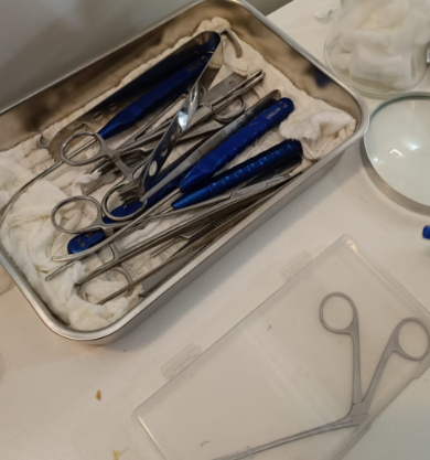 Fisioterapeuta é preso em clínica clandestina em Goiânia