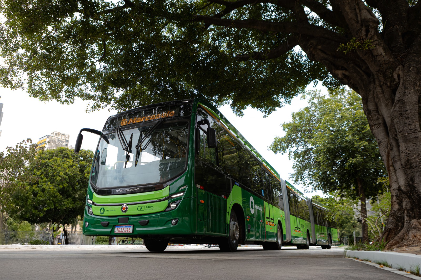 Estudo aponta redução de 8 mil toneladas de CO₂ com modernização de ônibus em Goiás - Divulgação