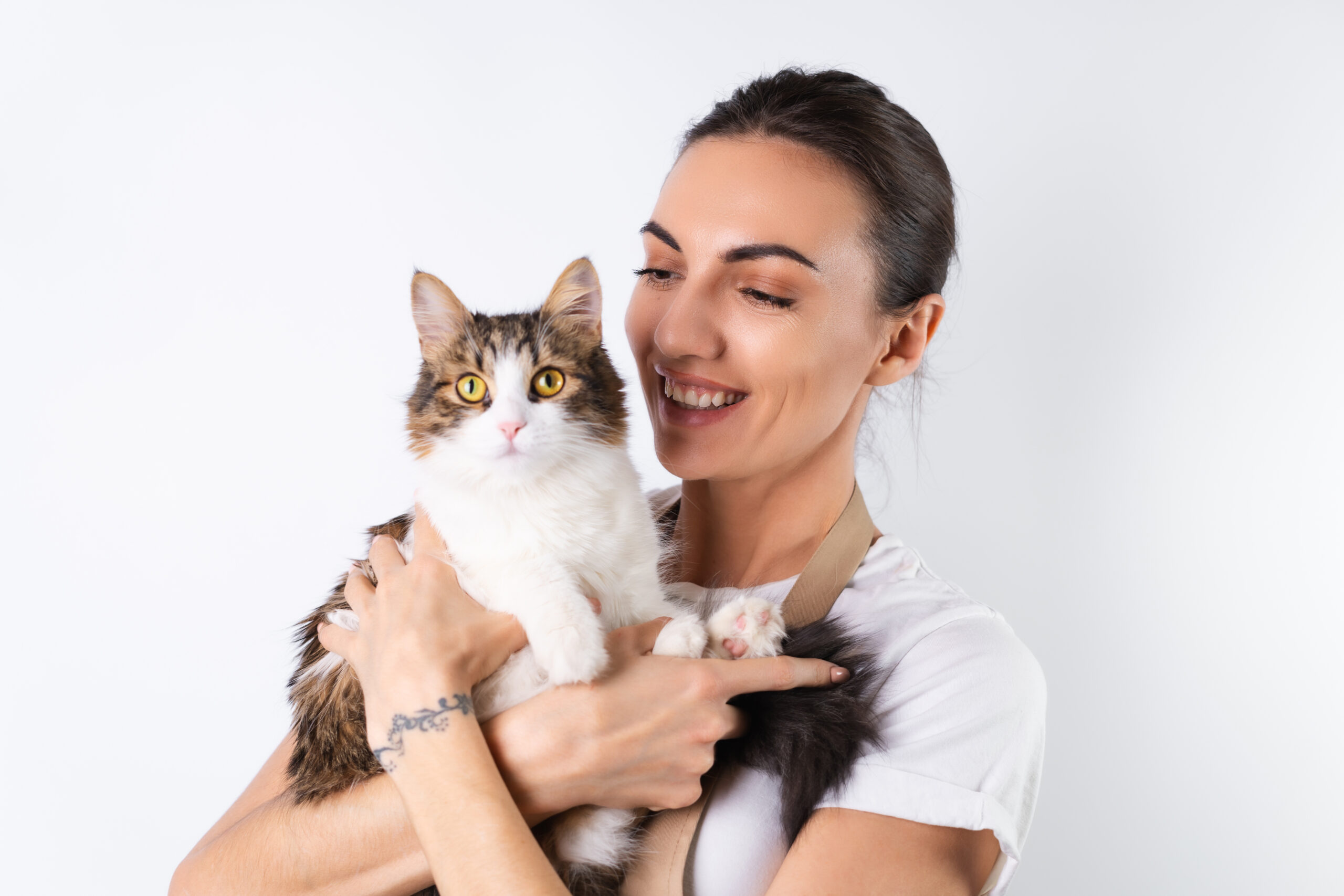 Mais produtos para gatos no carrinho: o que está mudando no mercado pet